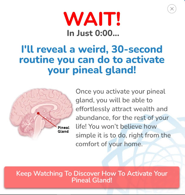 Pineal Gland