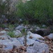 View album