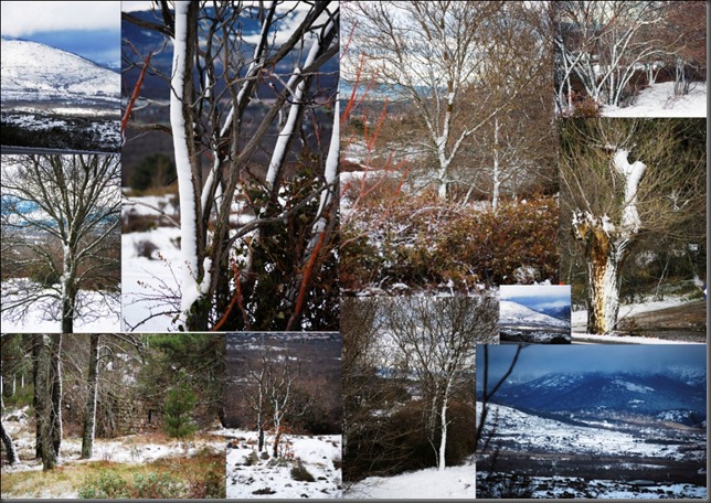 nieve1