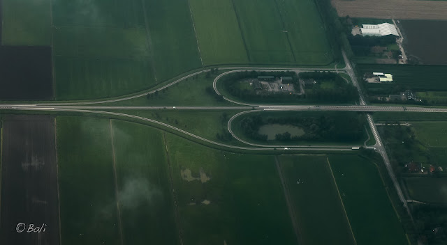 carretera, plantaciones