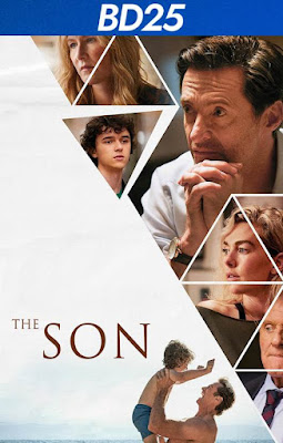 The Son 2022 BD25 SUBTITULADO [OFICIAL]