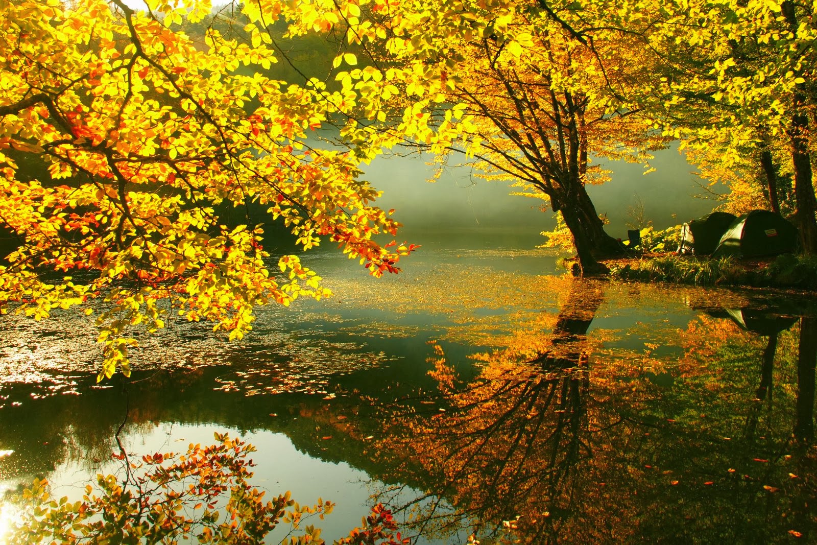 Beautiful Autumn Wallpapers  Most beautiful places in the world  Download Free Wallpapers