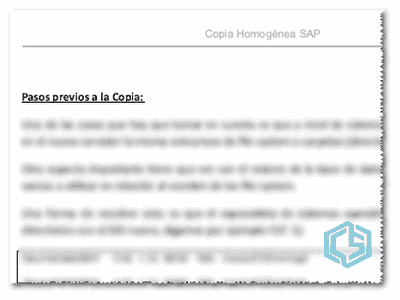 Copia Homogénea ERP SAP