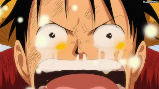 ワンピース アニメ 312話 ルフィ ゴーイングメリー号 別れ 最後 炎上 | ONE PIECE Episode 312 Going Merry