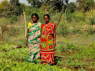 Mixed cropping field