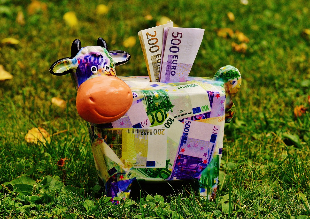 Celengan berbentuk sapi dengan mata uang berbagai negara