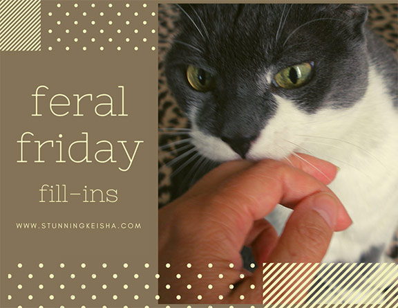 Feral Friday Fill-Ins