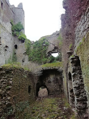 Ballyadams Castle