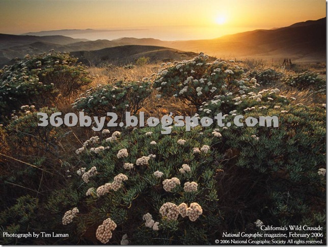 nature2
