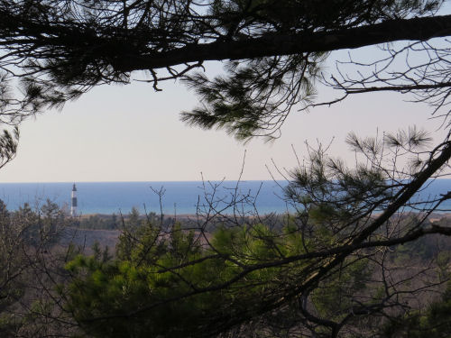 Ridge Trail Ludington State Park