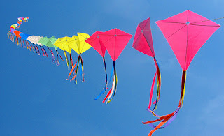 International Kite Festival2