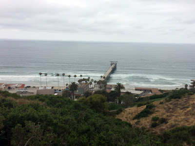 Field Trip With the Grandboys - Birch Aquarium 