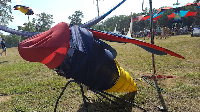 Bonnaroo Chris 2016 - Firefly grounded