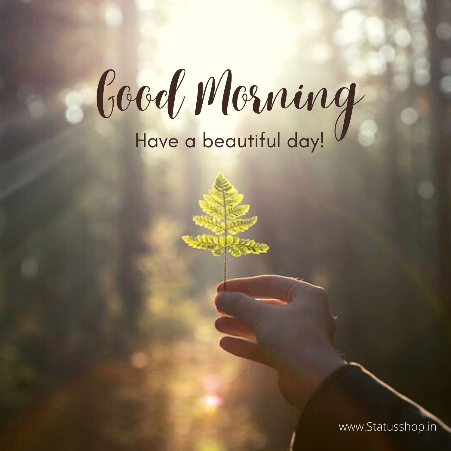 Images-Of-Good-Morning-Wishes