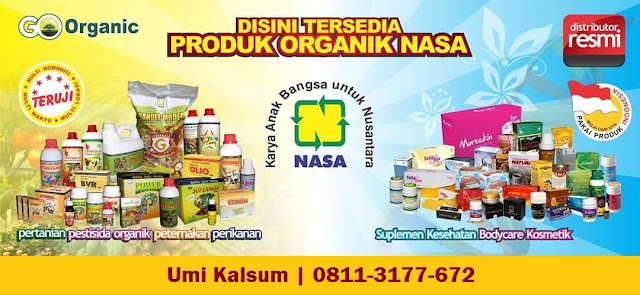 Distributor Nasa Makassar