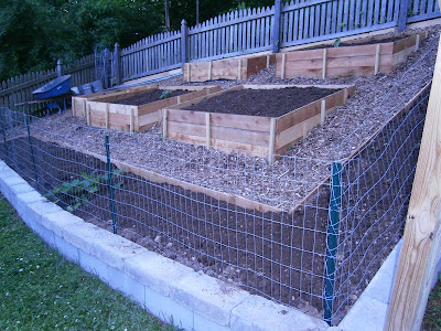 Garden Beds Slope on Flour Sack Mama  Built Family Garden With Raised Beds