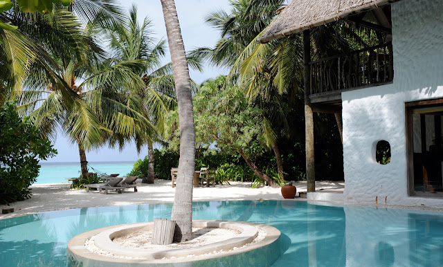 Photo of palm tree in the middle of swimming pool on the beach