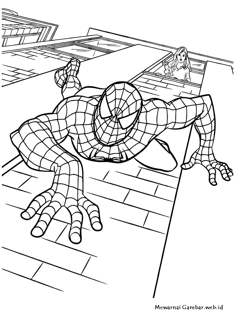 Mewarnai Gambar Spiderman  Mewarnai Gambar