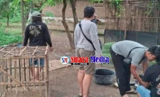Sabung Ayam Di Nganjuk Jawa Timur Digerebek Polisi, Ini Kronologinya !!