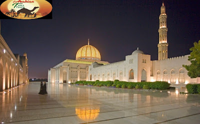 muscat city tour 