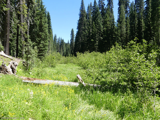 Haypress Meadows