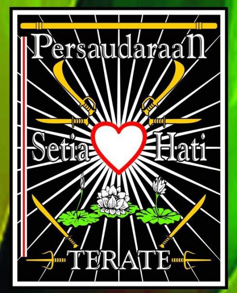 Setia Hati itu Bersaudara Forum SH Terate Pencak Silat 