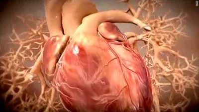 The 10 best foods to clean arteries and veins