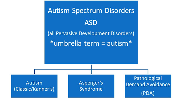 Graph showing where PDA sits relating to ASD