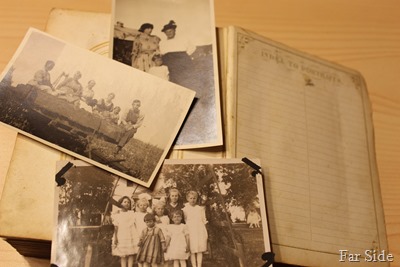 Glander Album