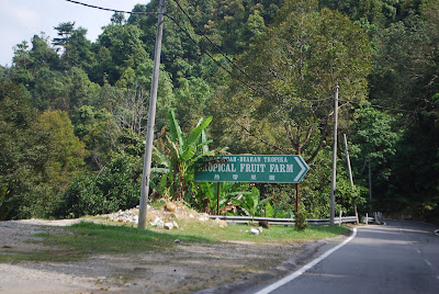 (Malaysia) - Penang - Tropical Fruit Farm