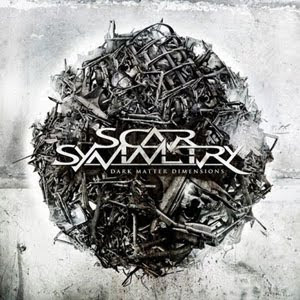 Scar Symmetry - Dark matter dimensions