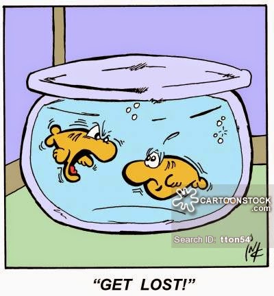 Fish Owner Cartoons