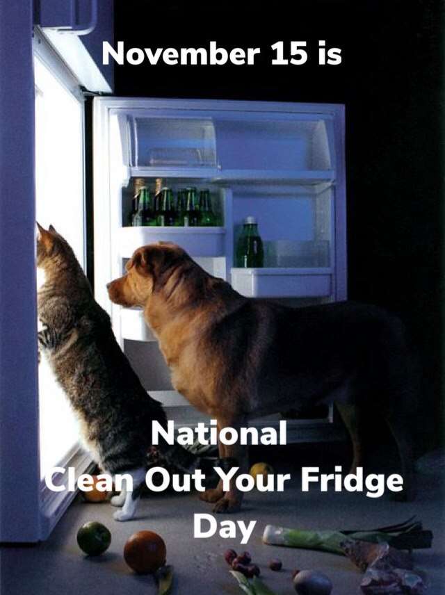 National Clean Out Your Fridge Day Wishes Photos