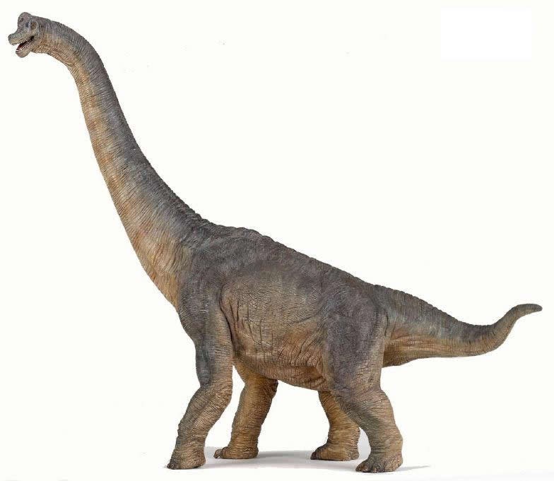  Gambar  Jual Mainan  Dinosaurus  Karet Besar Lapak Richie 