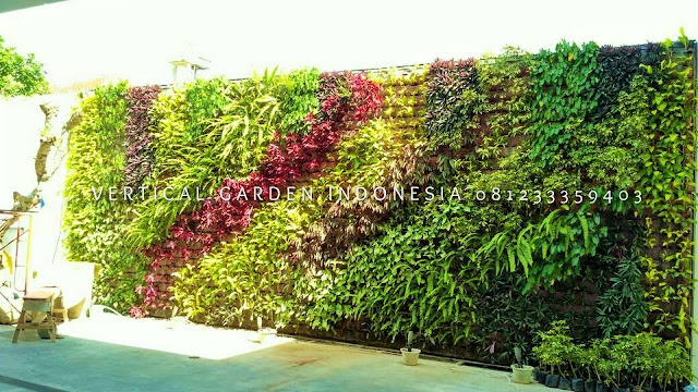 VERTICAL GARDEN INDONESIA SPESIALIS JASA PEMBUATAN VERTICAL GARDEN DI REMBANG JAWA TENGAH DAN DI SELURUH WILAYAH JAWA TENGAH DENGAN TENAGA YANG PROFESIONAL DAN DAPAT DI PERCAYA YANG SELALU MENGUTAMAKAN SEBUAH MUTU DAN KUALITAS PEMASANGAN VERTICAL GARDEN/TAMAN DINDING, JASA TUKANG TAMAN VERTICAL REMBANG JAWA TENGAH, JASA VERTICAL GARDEN REMBANG JAWA TENGAH