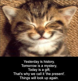 A funny pet picture of a cute kitten smiling with an inspirational cat saying. A motivational kitty photo and inspiring message from an adorable feline.