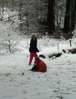 Kids playing in the snow