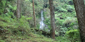 Air Terjun Umbul Songo