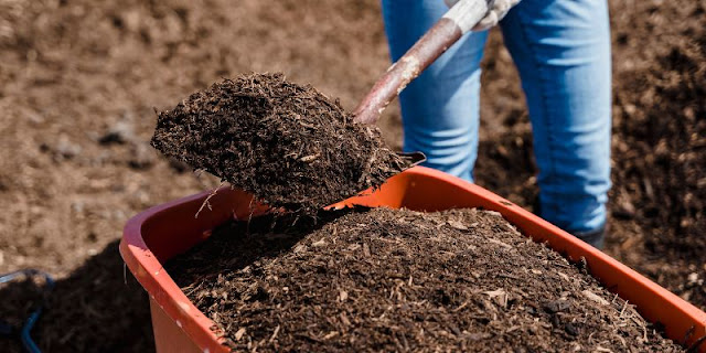 Ventajas del compost