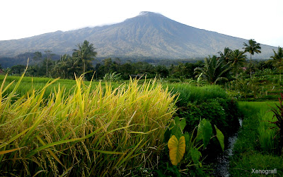 Gunung Slamet