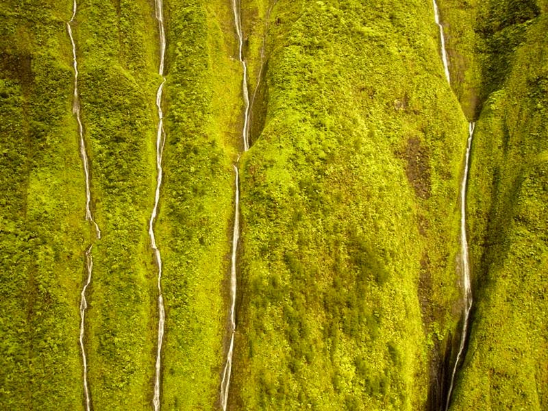 Mount Waialeale, mt. waialeale, mountain in kauai, wall of tears kauai, wettest place on earth, kauai wettest place on earth, weeping wall kauai, kauai crater, mount waialeale kauai, rainiest place on earth kauai, wettest place in hawaii, mt waialeale kauai hawaii, wettest spot on earth, waialeale kauai, waialeale crater, waialeale waterfalls, blue hole hawaii