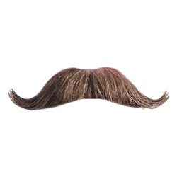 Mustache Black transparent PNG , Free png