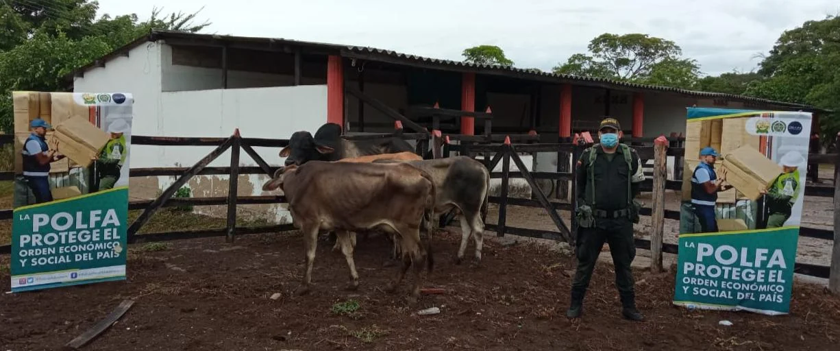 hoyennoticia.com, Capturado contrabandista de ganado