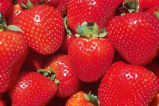  bibit strawberry import asli
