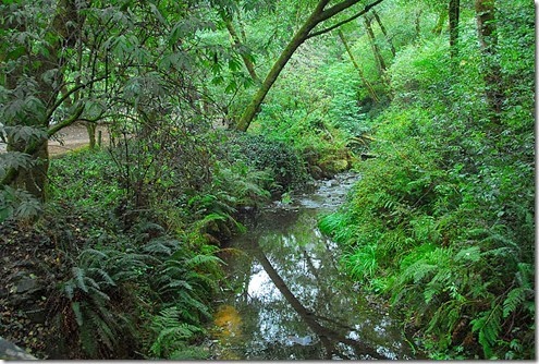 Van Damme Creek