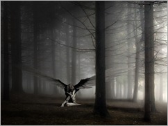 dark-angel-forest-image