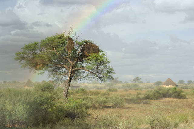 Kalahari Red Dunes Lodge Namibia