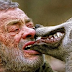 MAN BONDS WITH WILD WOLVES AND ATTAINS SOMETHING THAT NO OTHER ANIMAL LOVER COULD EVEN IMAGINE