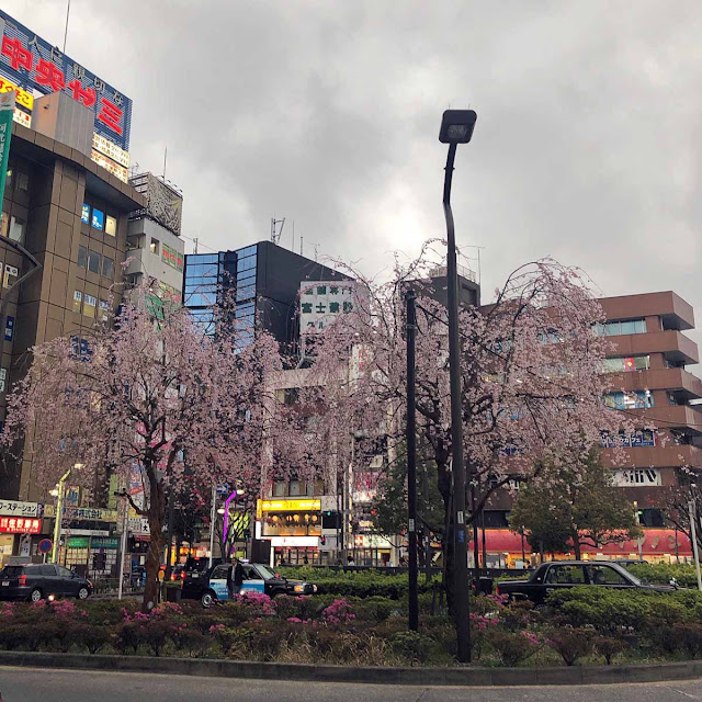 高円寺駅南口ロータリー