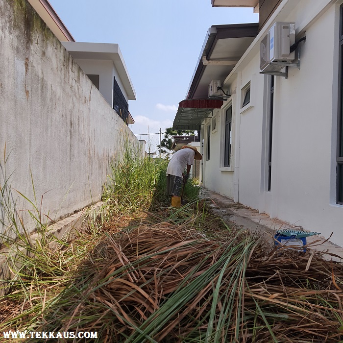 Clearing Weeds Using Hoe Garden Tool